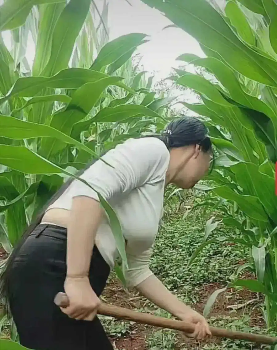 女人离异之后，带着孩子生活，是很不容易的。