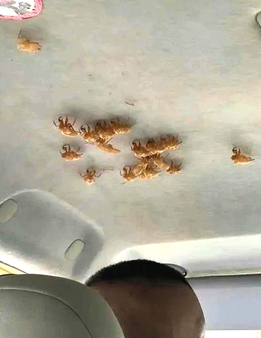 打个车一路上提心吊胆，就怕来个急刹车。