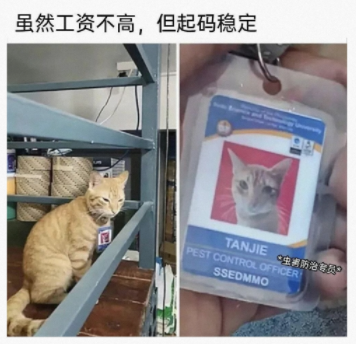 接受自己是个笨蛋的事实