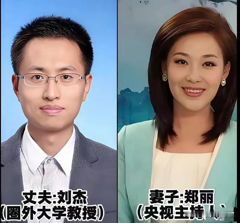 主持界的恩爱夫妻。央视主播郑丽在事业与家庭间做出艰难抉择，选择丁克生活后因婆婆