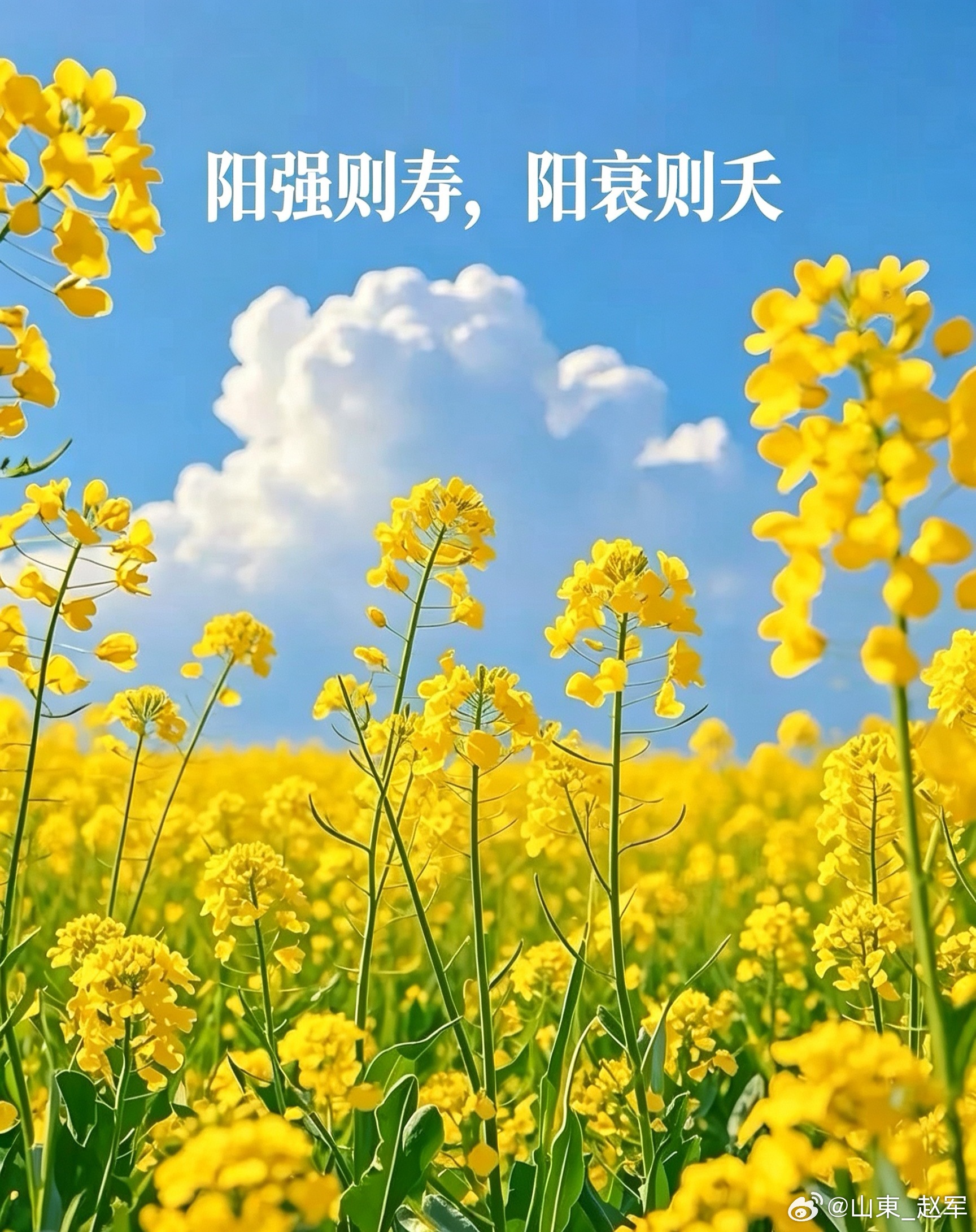 《黄帝内经》〝生病起于过用”很多大病从来不是突然降临，而是日复一日悄悄耗损。熬夜