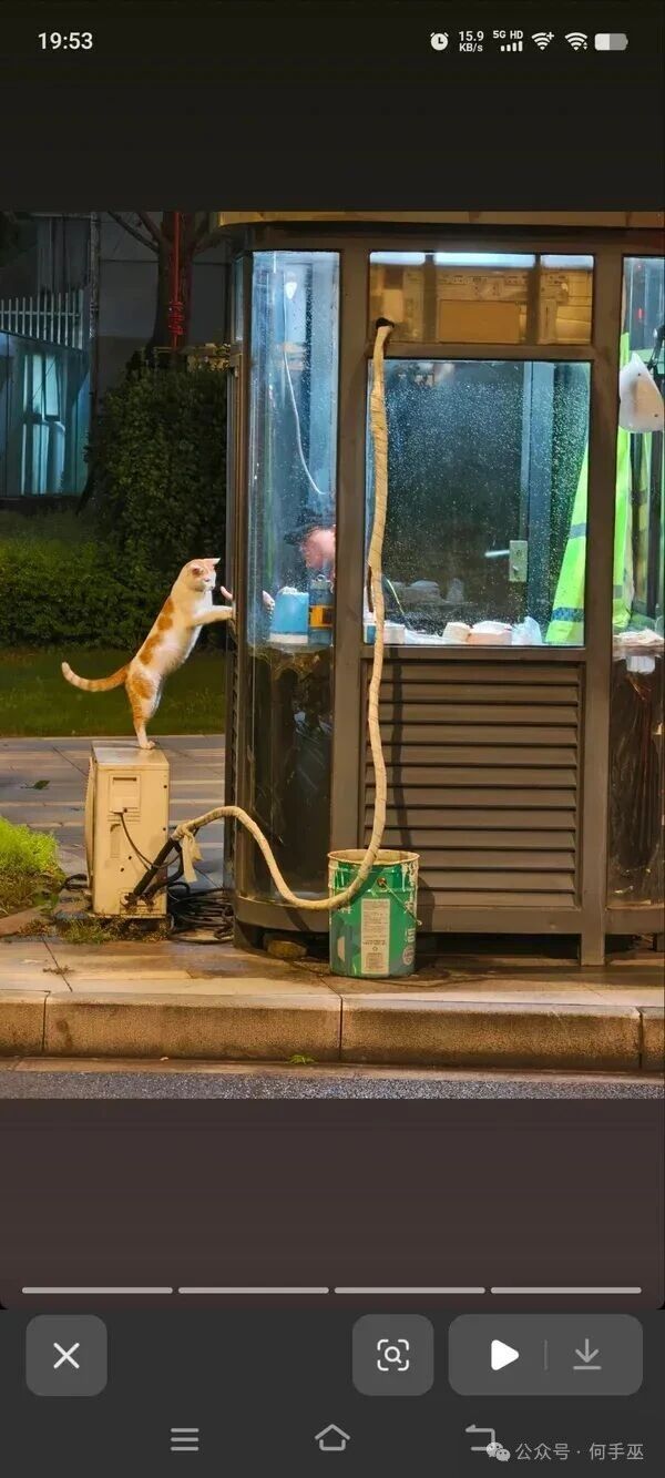咪佬前来查岗[doge][doge]​​​