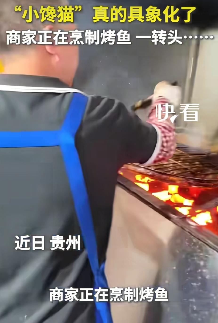 “笑不活了！”贵州，网友去烤鱼店吃烤鱼。没想到，在店外一抬头，看到房顶上有四只猫