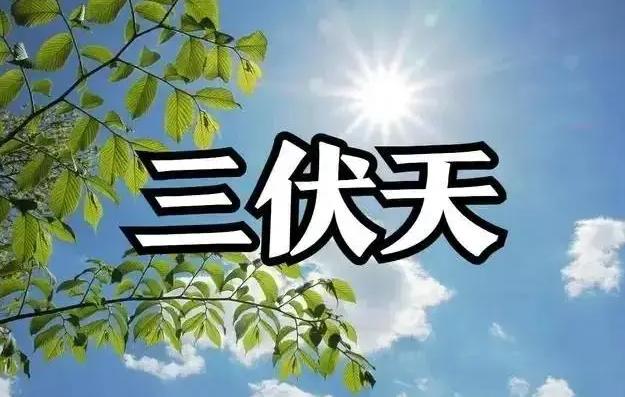 三伏天将至！心内科主任提醒：心脏不好的中老年，三种药物要少碰： 明明只是吃了