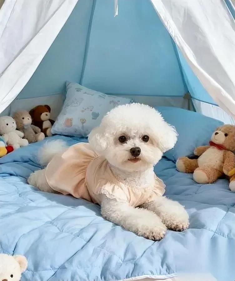 我楼下张姐家昨天炸了不是吵架,是抓着“旧账”了她老公跟前妻在小区宾馆,被