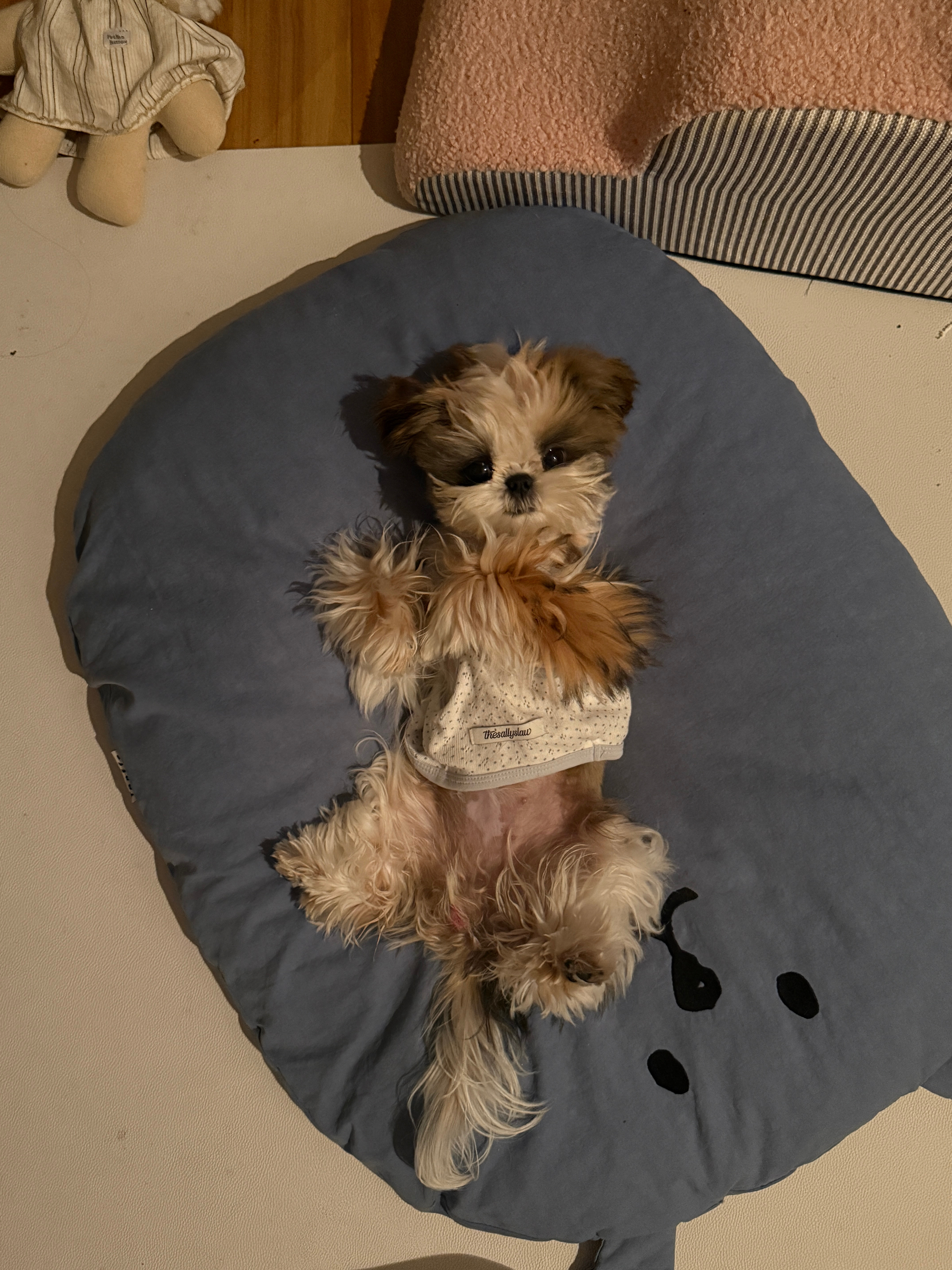 我有一个这么可爱的宝宝谁羡慕谁嫉妒​​​