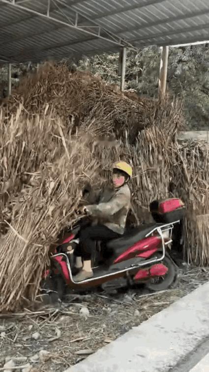 小哥哥这下立功了，村长一直苦于没有证据。