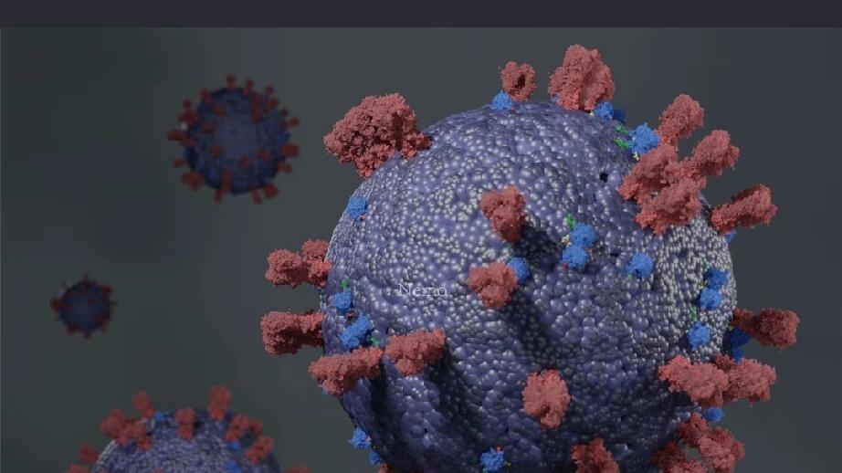 甲流的元凶找到了，甘蔗没有上榜，第一名谁也想不到真正的甲流元凶是甲型流感病