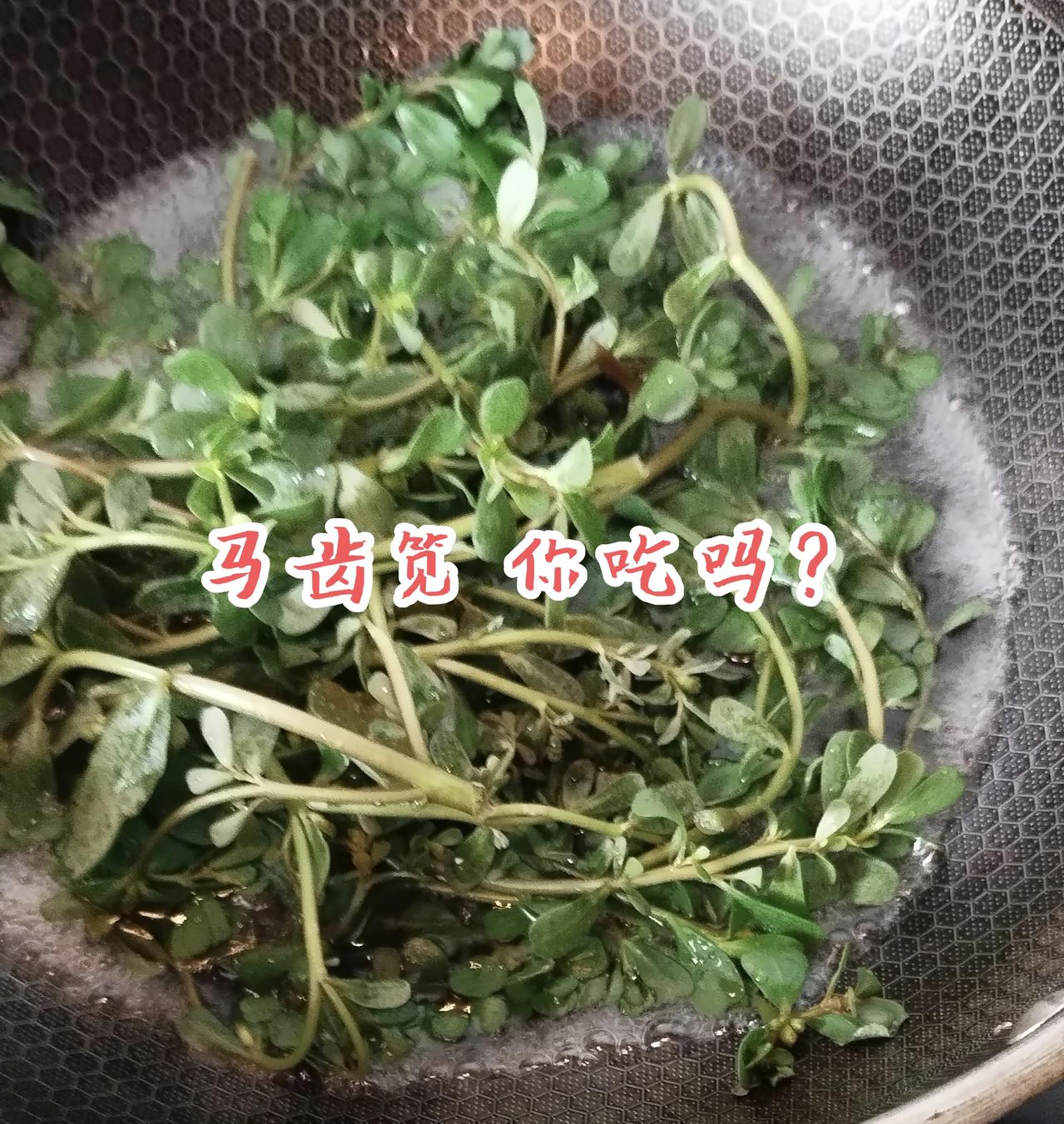 癌了，你得不到好中医。告诉你中医就是让你的身体调和不互相矛盾，扶正固本，升清降