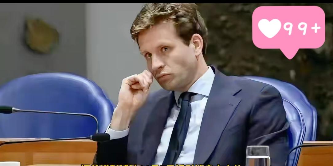 荷兰放弃接管中企安世半导体，背后究竟发生了什么？在经过一个多月的强硬态度之后