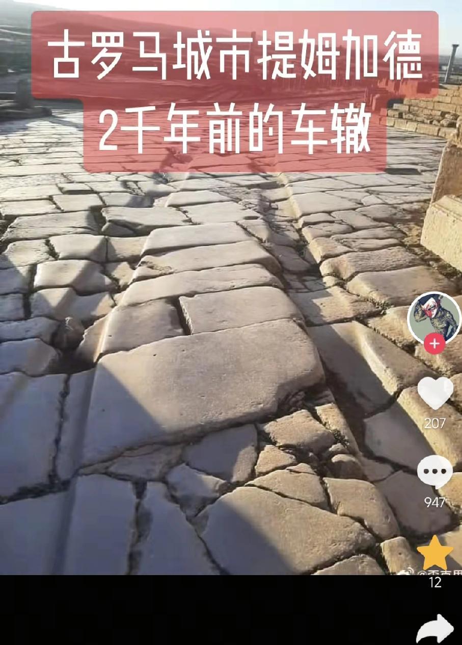 为了替西史辩护，这哥们儿也是拼了，居然使用AI生成图片来冒充证据。这些图片就是所