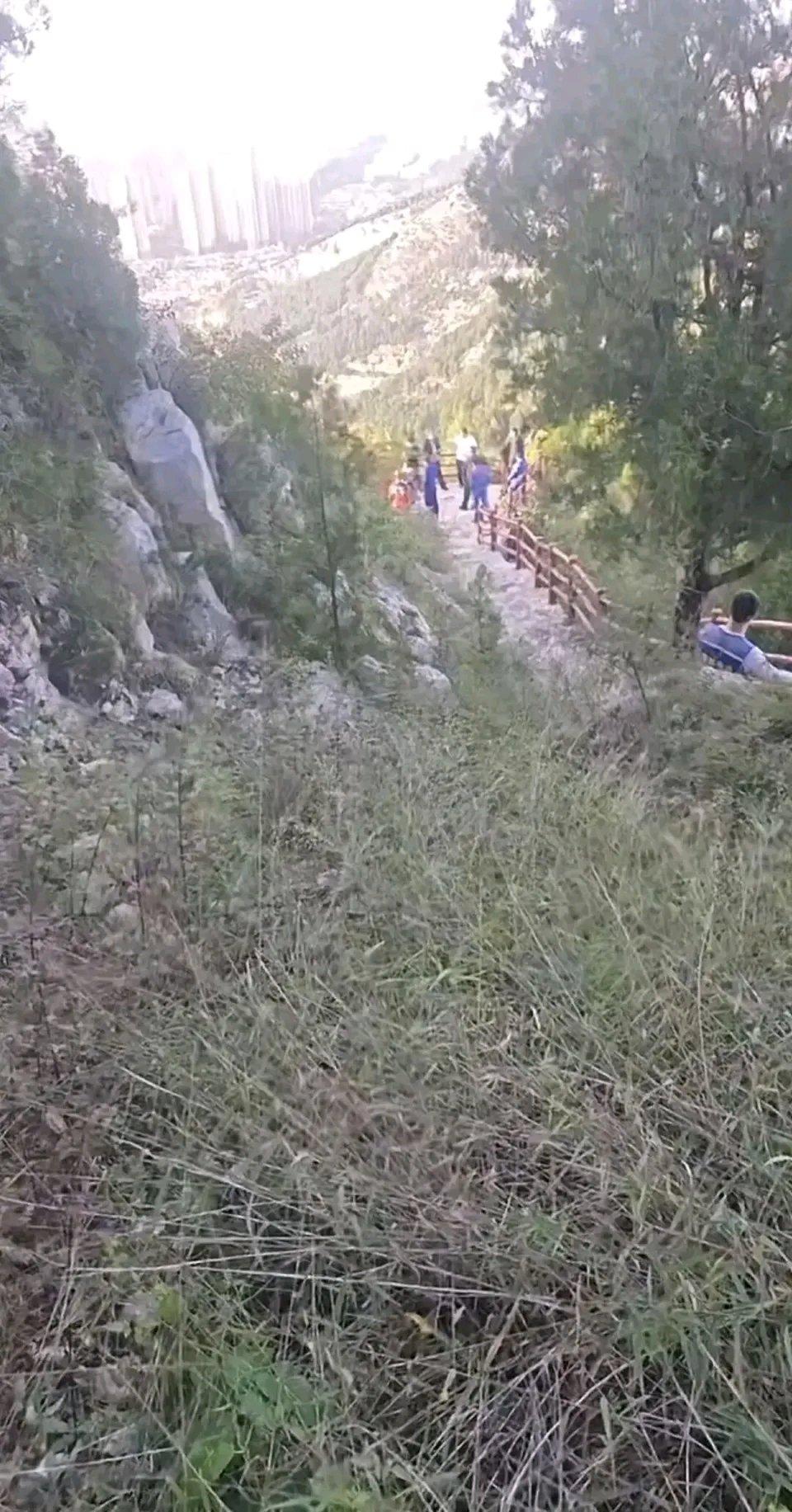 太让人痛心了！济南29岁的苏阳阳，本有着大好的人生，却以这样的方式结束。10月4