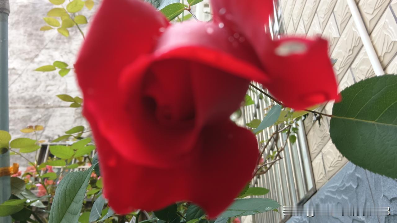 一位扎根基层的村医说:现在我们村医的工作性质已经变了，很多病人不需要我给他们看