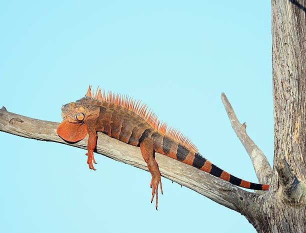 一位社会研究学者说：生活里，每一个行为背后，其实都有深意。你以为嘴甜只是讨人