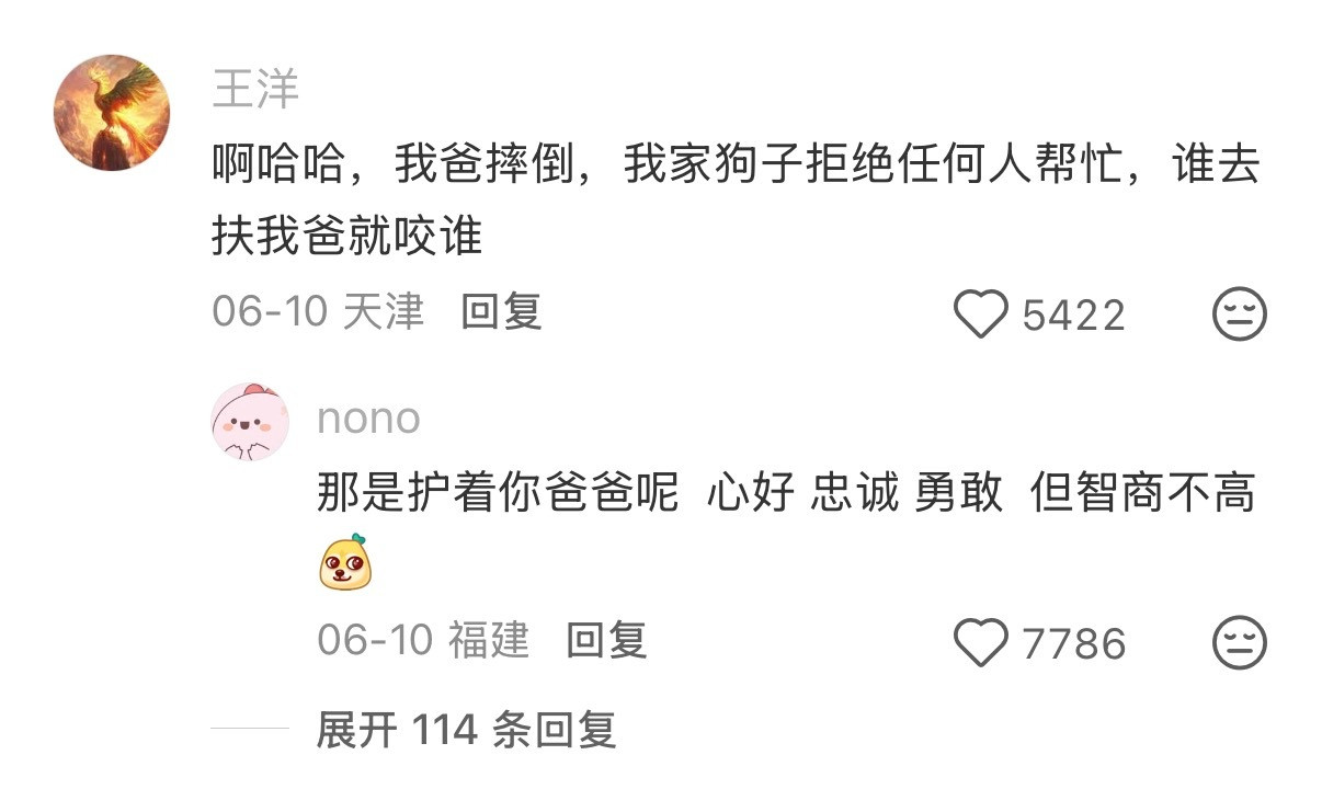 对主人的爱胜过了恐惧