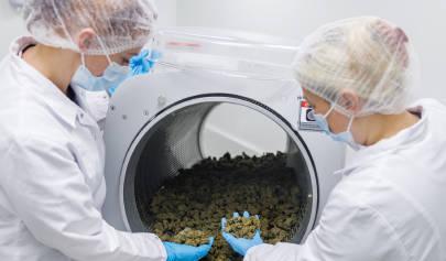 德国将成为全球领先的生物技术中心。因为生物技术对于医学、粮食安全、工业生产以及可