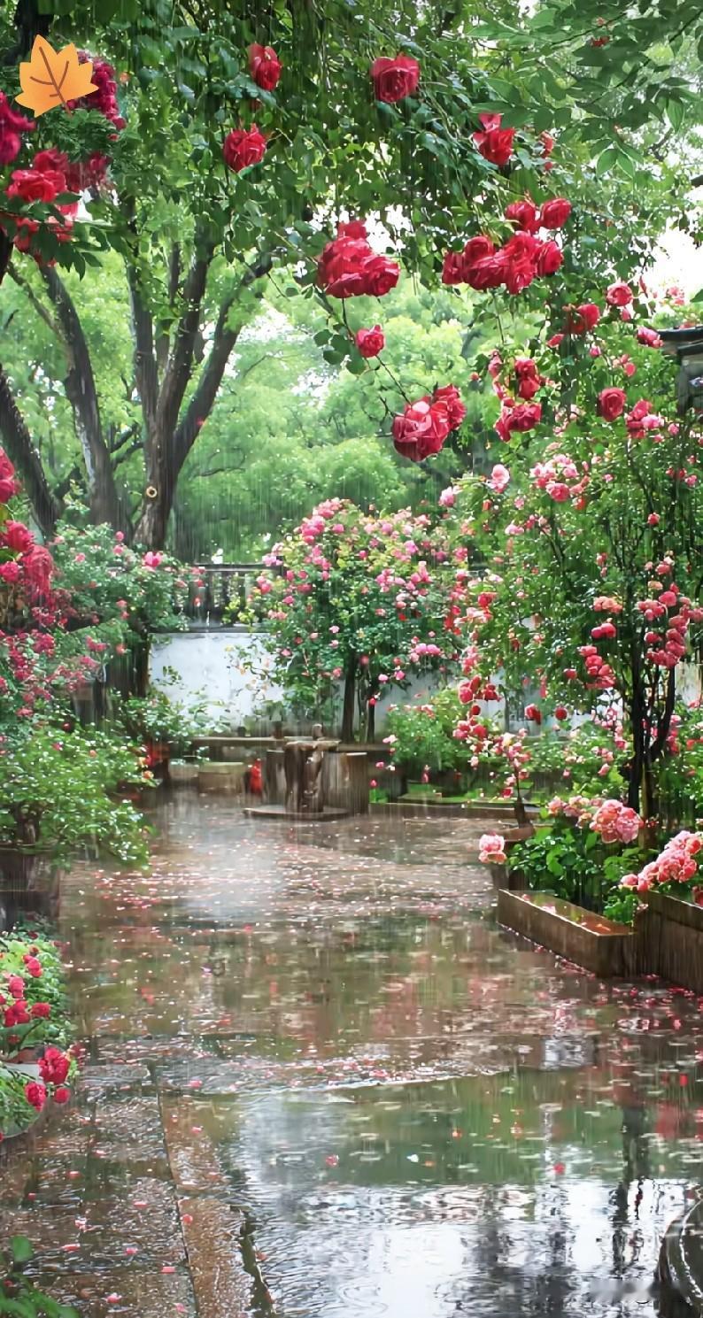 同事的姑姑一直未婚未育她姑姑很有钱她和她父母都觉得等她姑姑走了遗产都是她的