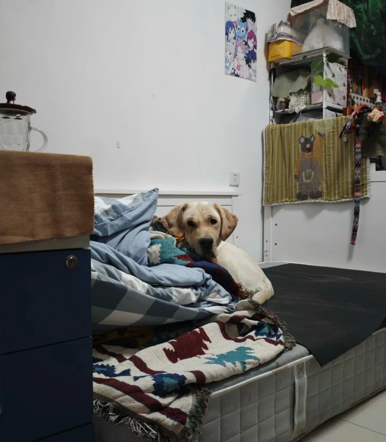 结婚第一年和公婆大战，坚持回自己家过年