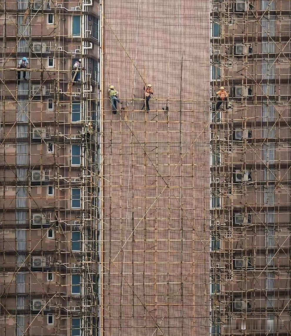 不要再聊竹子不竹子的事情了，完全没有意思。现在互联网上的争吵根本就不是在聊竹子