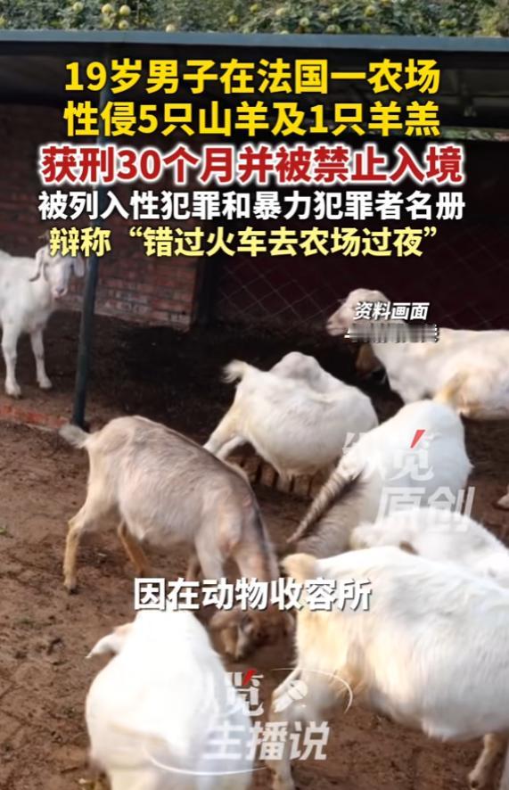“太变态了！”法国，一家动物收容所的农场主最近愁坏了，他发现自家山羊频繁受伤，腿
