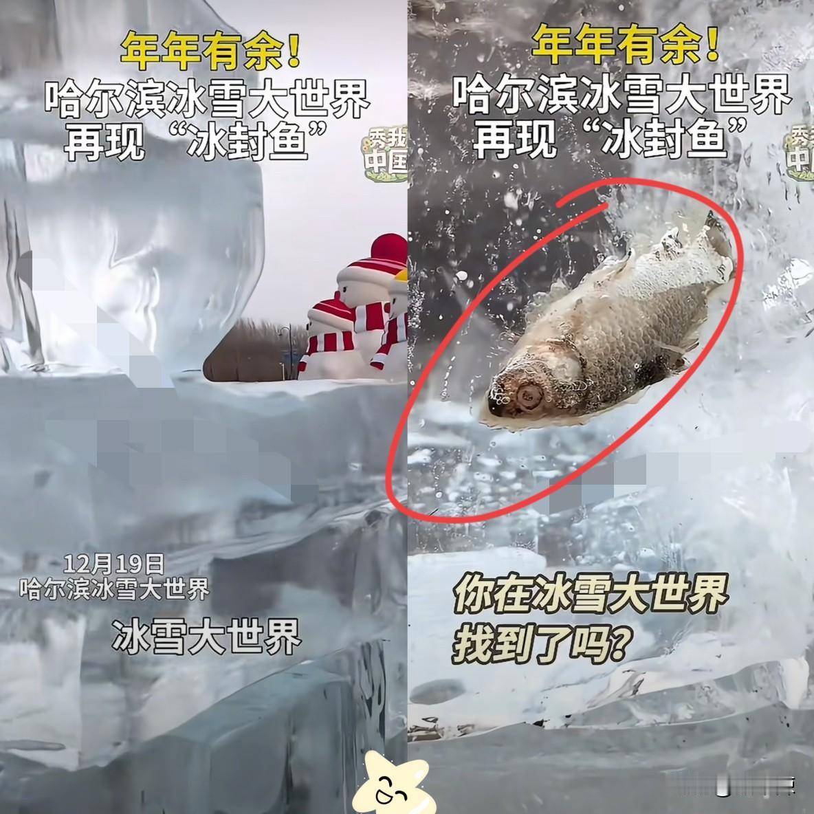 我严重怀疑，哈尔滨冰雪大世界里，藏着一个顶级的产品经理。全网疯魔打卡的，居然是