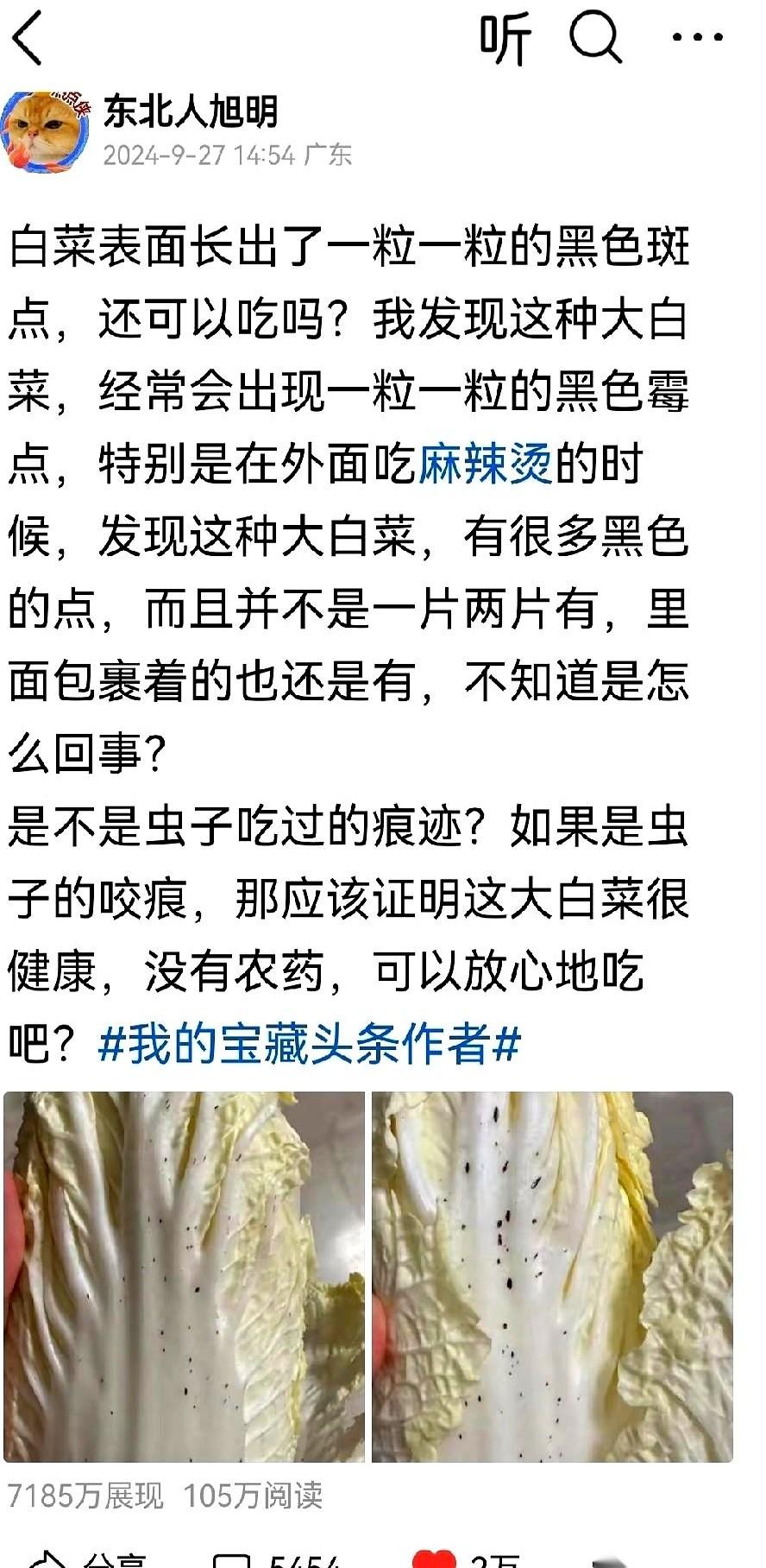 我靠，我真想给自己一巴掌。两片破白菜，128个字，挣了三千多块。就这，还有7