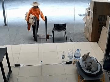 拾荒大妈拿走了商店门口的瓶子，转身一脚踹翻了门前的凳子。94年，深圳。婚纱店打