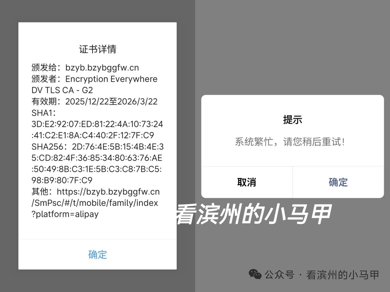 “滨州医保”突然打不开3月22日晚，有市民发现山东省滨州市医疗保障局的小程序
