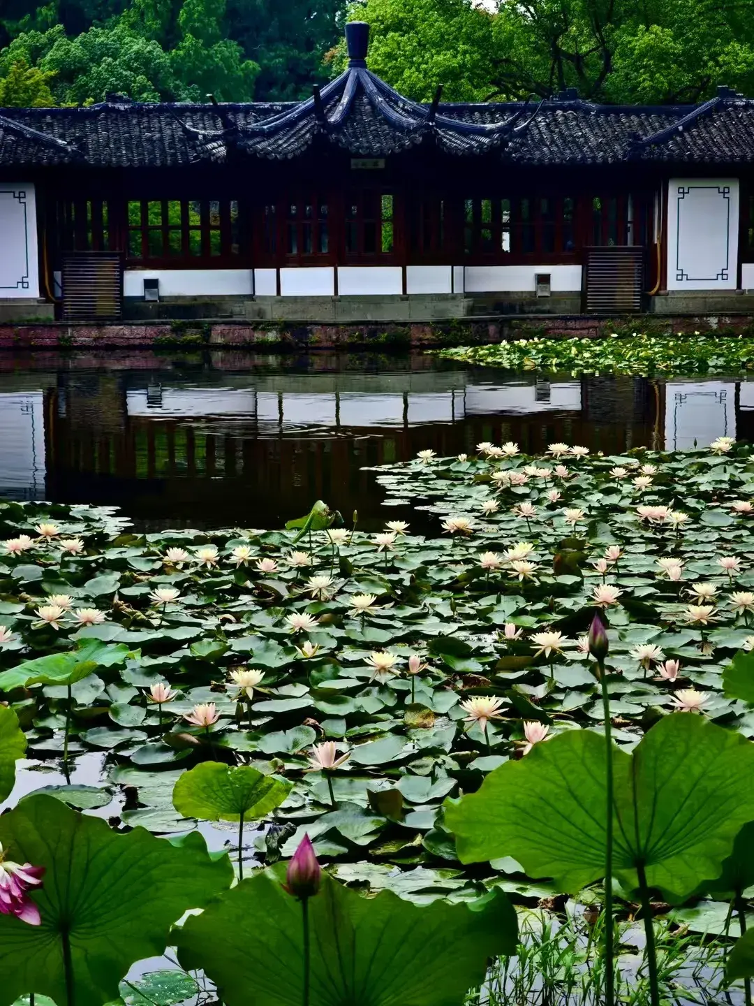 经常看到网上发全职妈妈，什么不是不上班，上班的话家里面孩子谁接，饭谁煮，卫生怎么