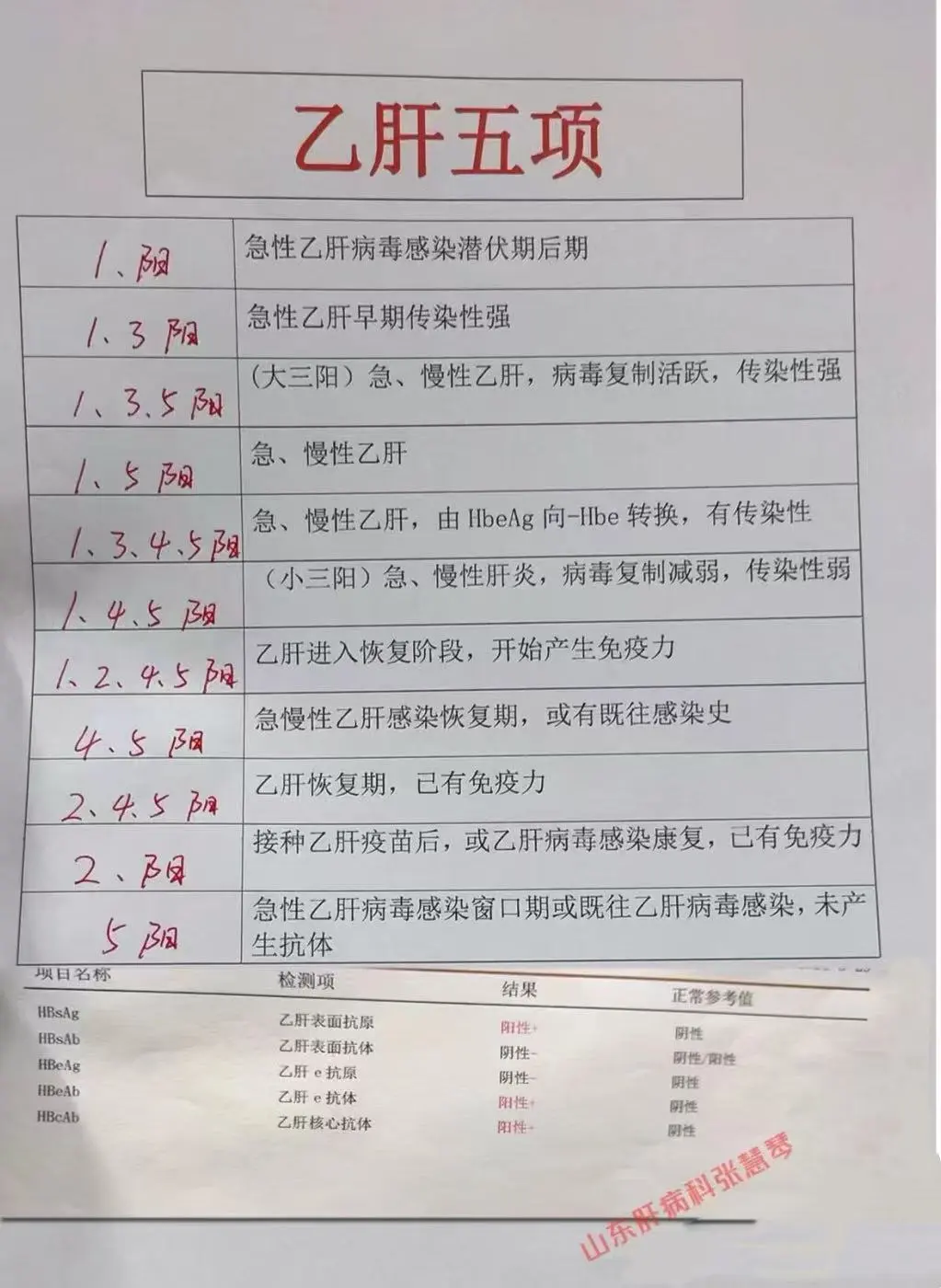 乙肝五项最全详解！纯干货！