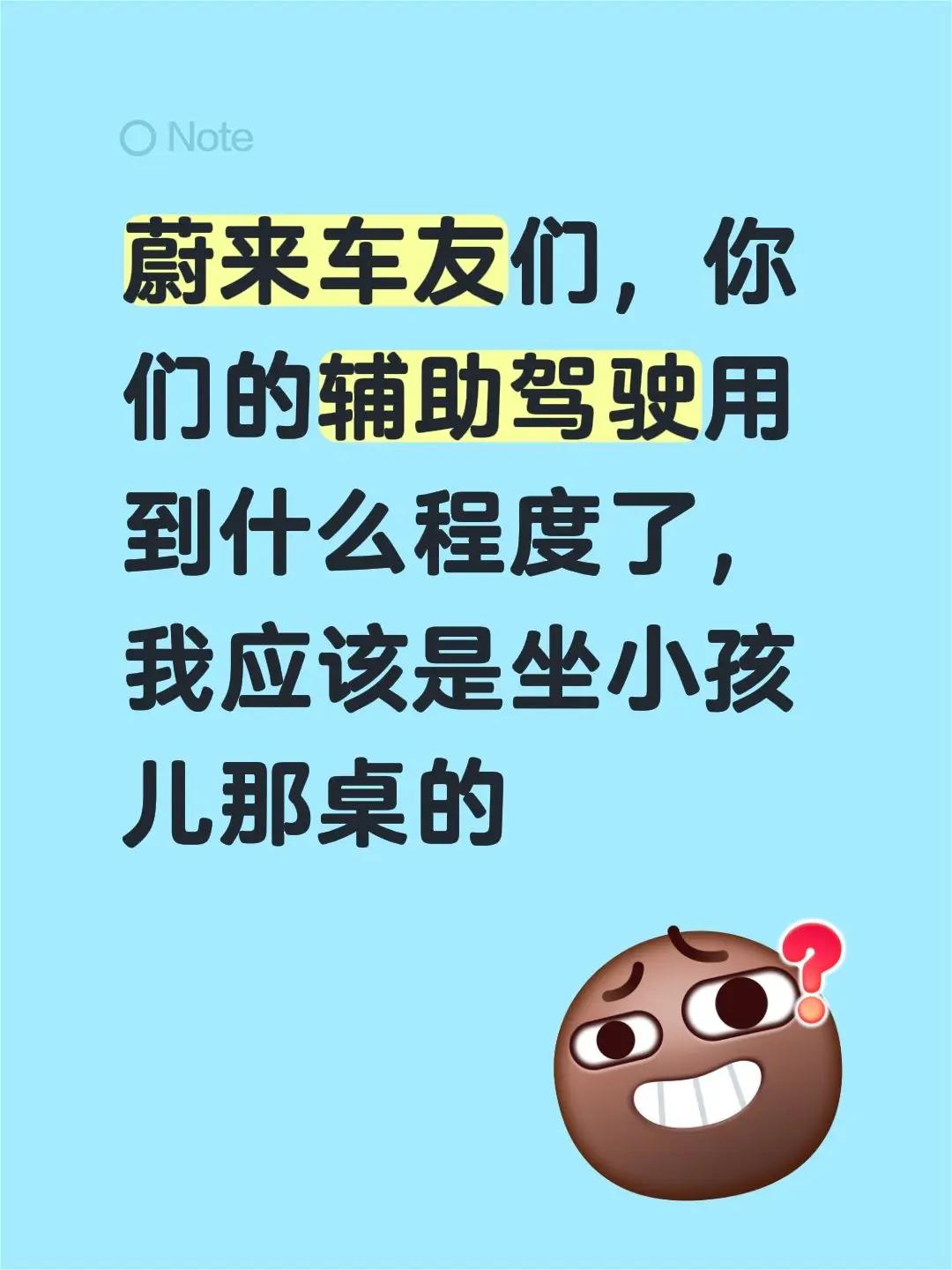 蔚来车友们，你们辅助驾驶用到什么程度了我应该是坐小孩儿那桌的。清明去老妈祖籍祭