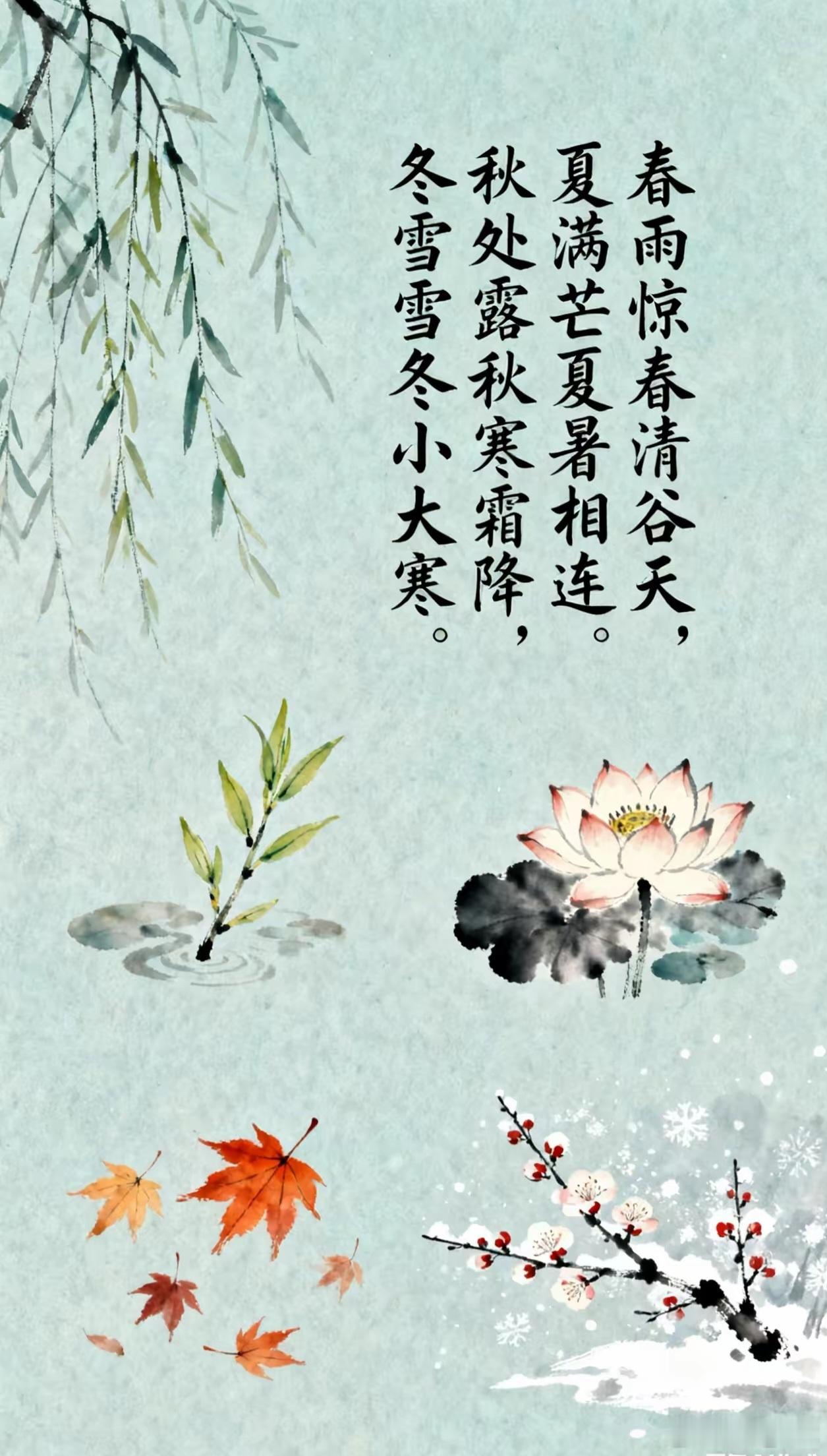 青蒿、地骨皮、银柴胡：清虚热、除骨蒸，别再用混了！明明没感冒，却总下午低烧、晚上
