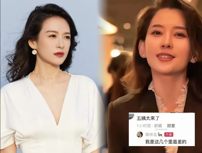 章子怡一觉醒来，她的沉默震耳欲聋她想不明白，自己明明什么都没说，却因为森林北