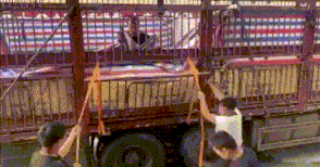 一看就不行