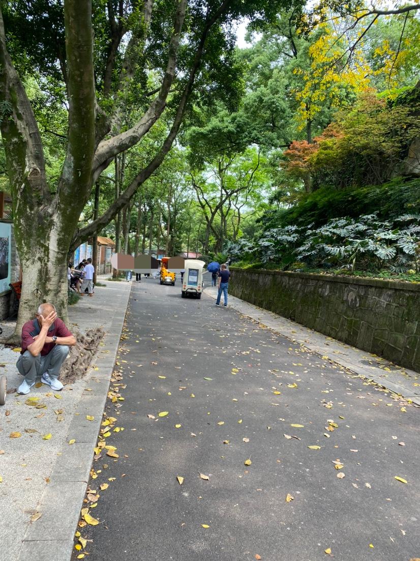 给你说一件事，一定要听！千万别带老人出门。你可以带朋友，带孩子，带伴侣，但一