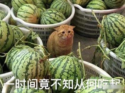 【圈八卦】陈星旭、黄子韬、吴倩、娜然、黄晓明、李兰迪、张远、毛不易、田曦薇、棒棒