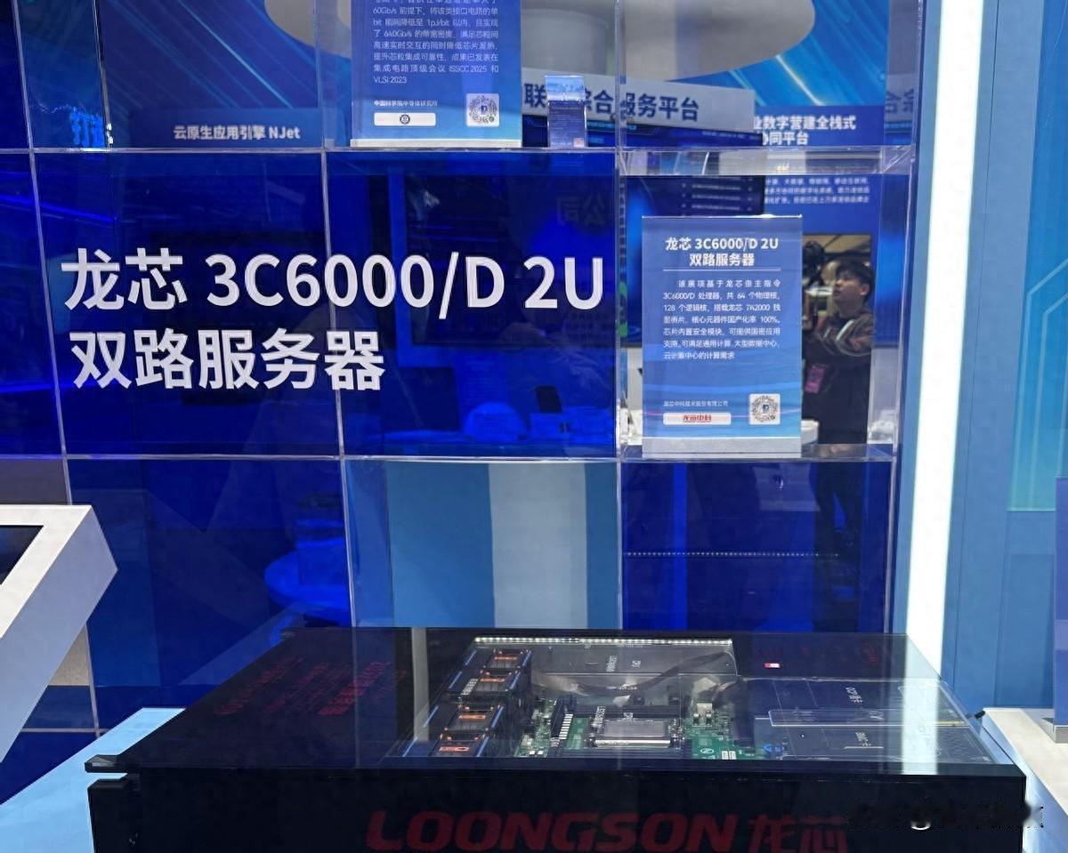 龙芯3C6000真能用了，不是PPT参数而是银行医院在跑，它到底卡在哪一关？最