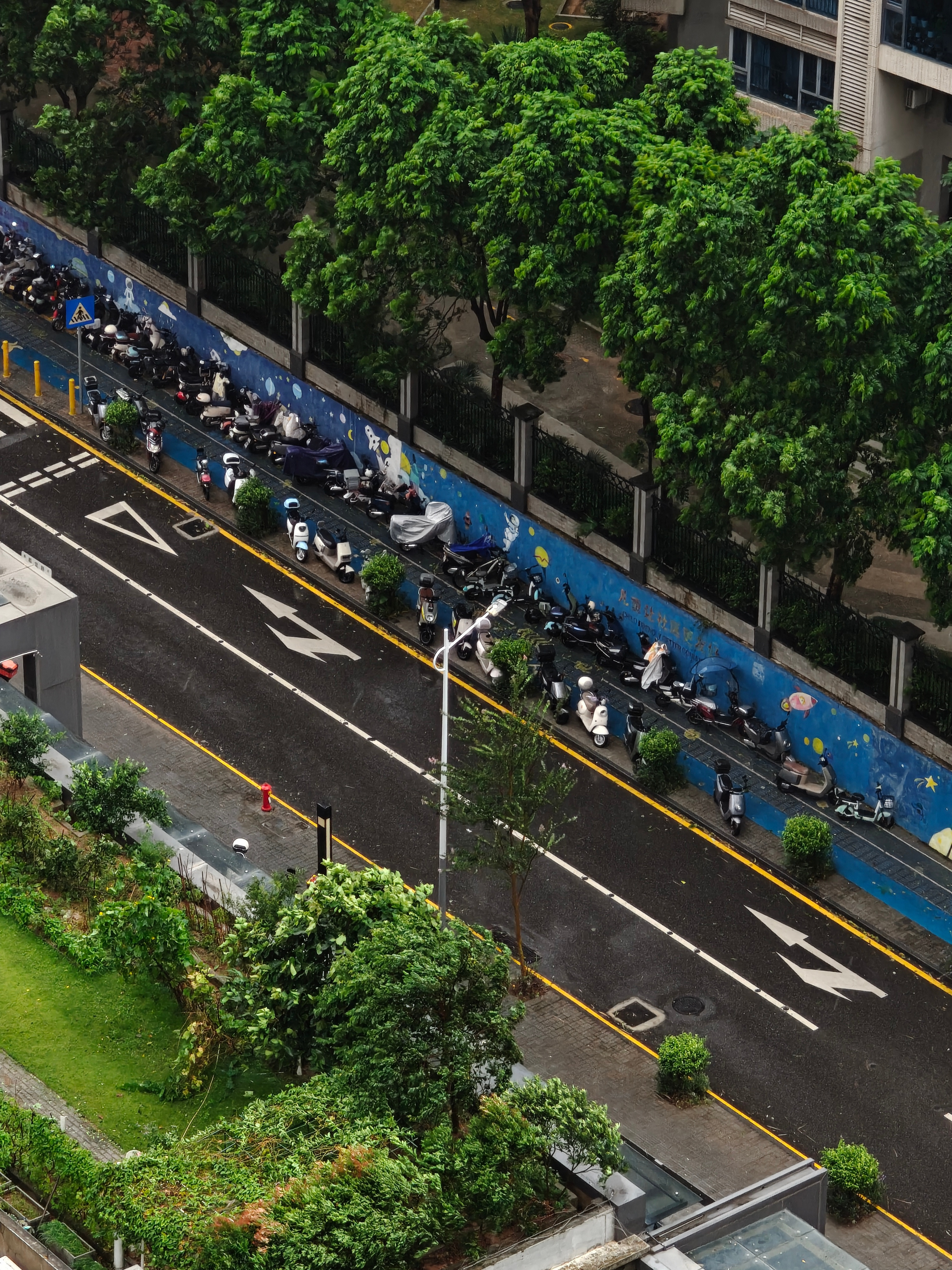 台风天在惠州登陆对深圳影响挺大的早上停了一会电看楼下树都压弯了台风红霞台风