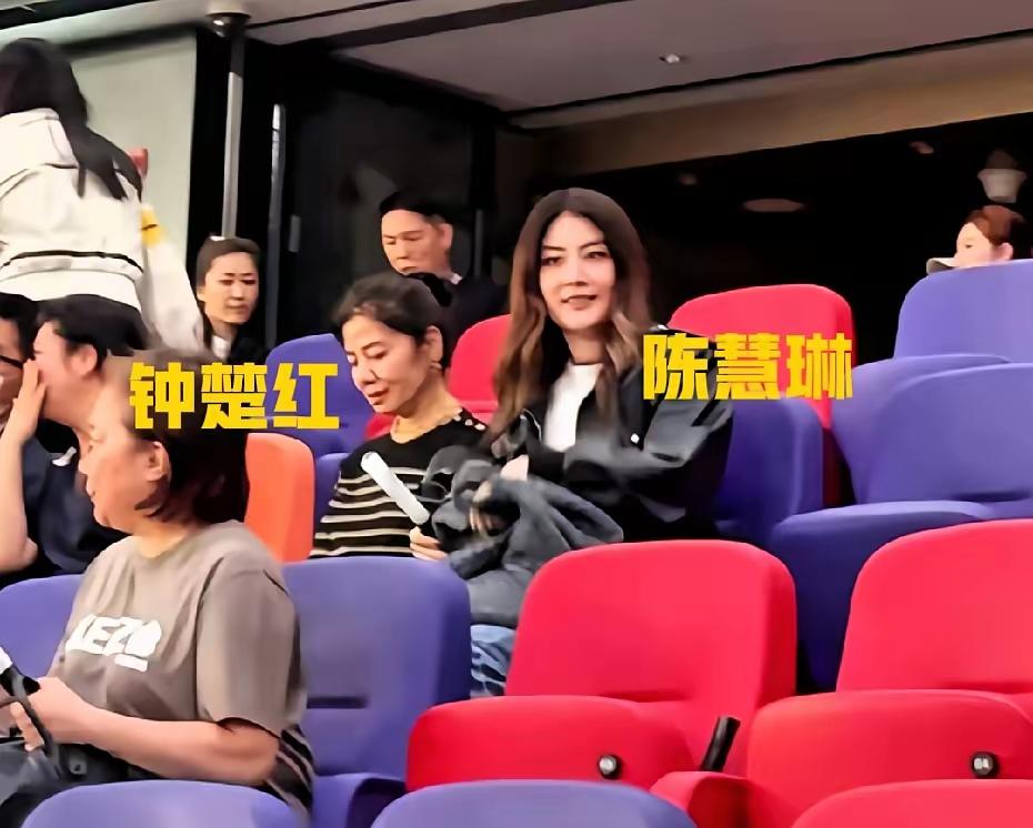 林忆莲演唱会，陈慧琳和钟楚红以及还杨千嬅一家三口现场助威。陈慧琳和钟楚红并肩而