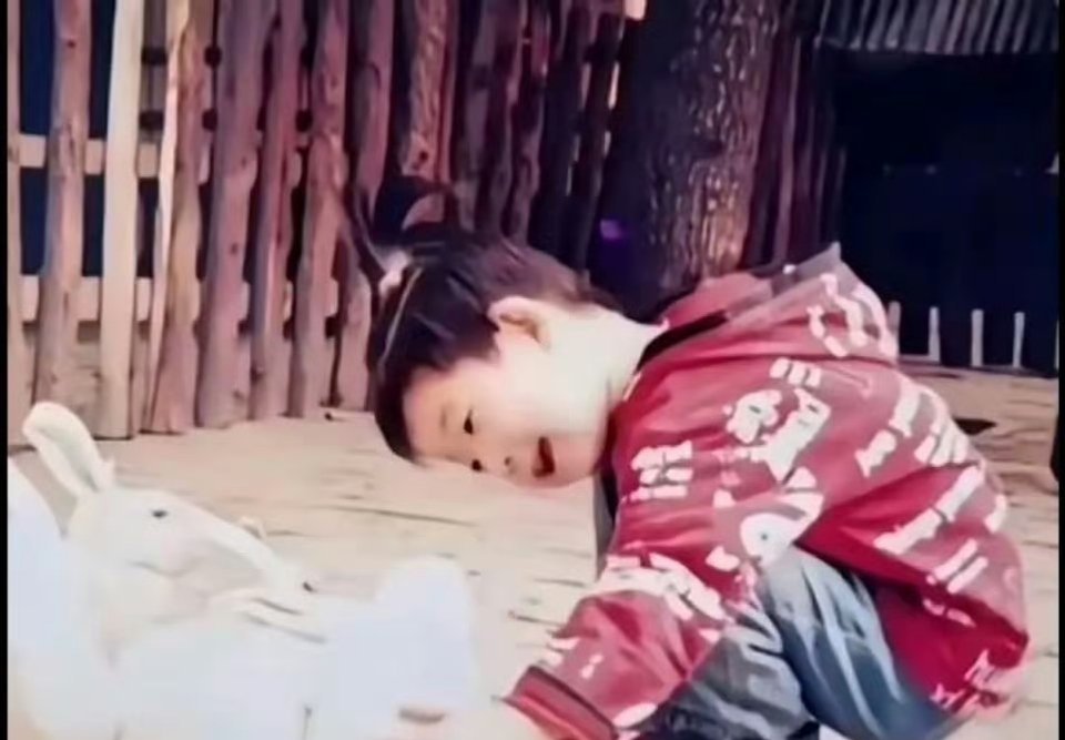 谁能想到啊？20年后这个小女孩会成为现在的乒乓球世一她就是孙颖莎小时候摸小白兔的