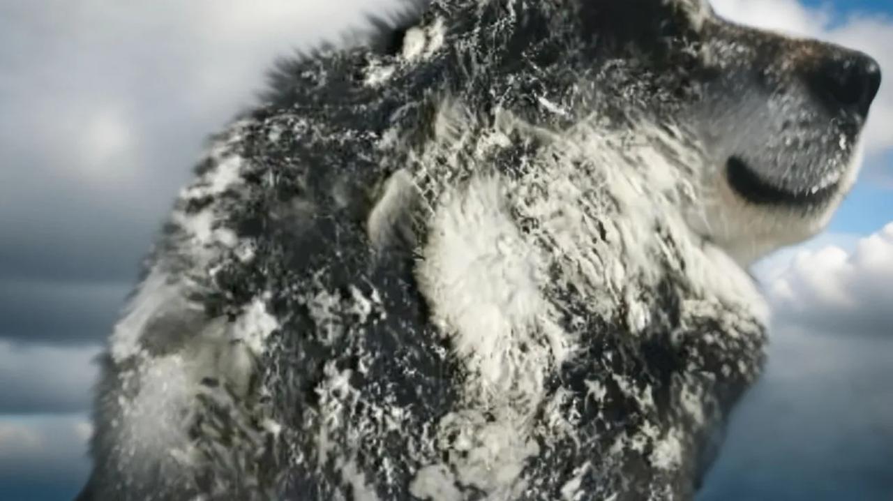 《今年第21号台风“麦德姆”直扑华南！国庆假期或迎最强风雨》2025年10月