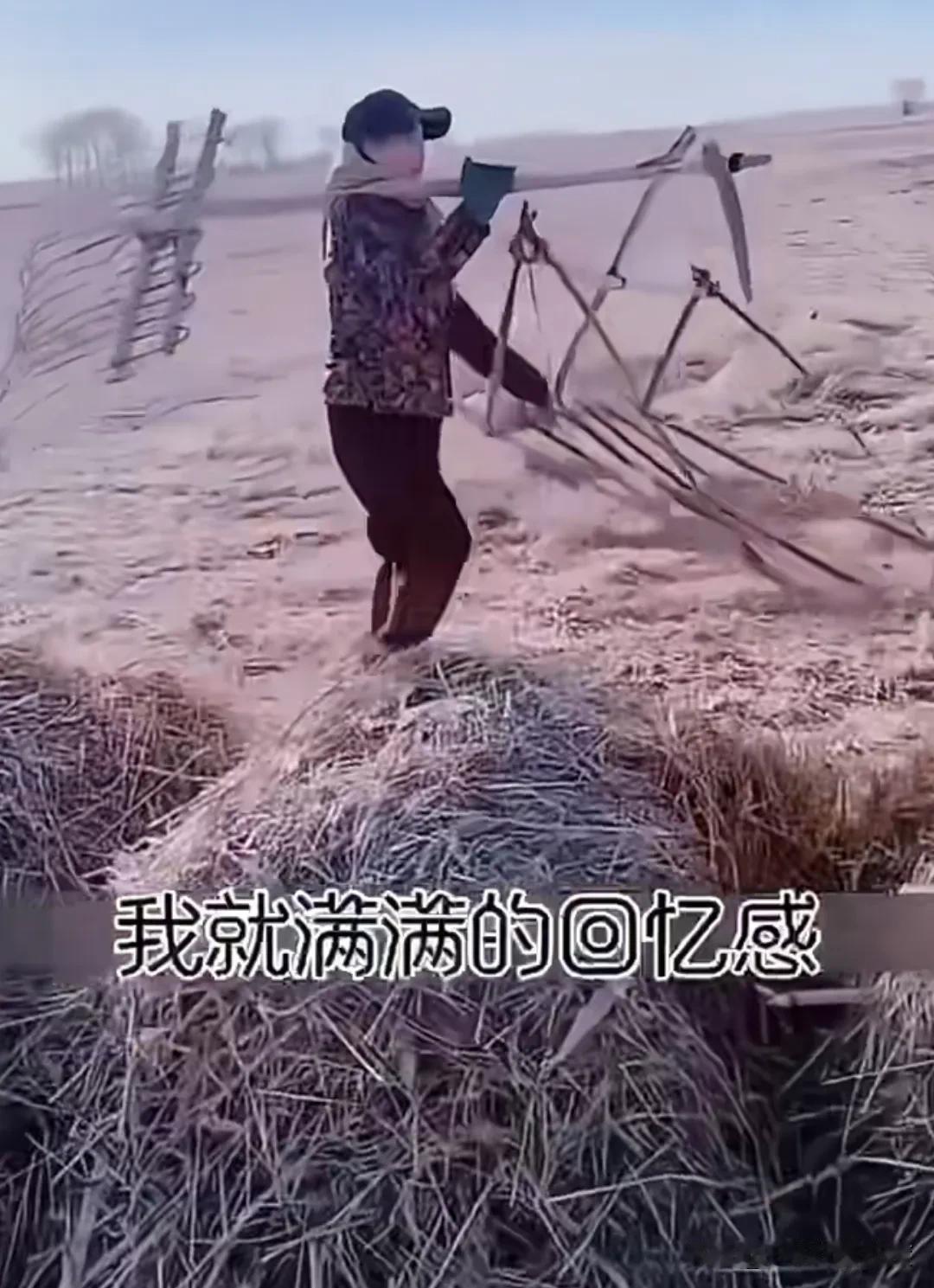 我敢说这样的活计只有东北地区才有，而且只局限于平原和半平原的地区，至少得30年前