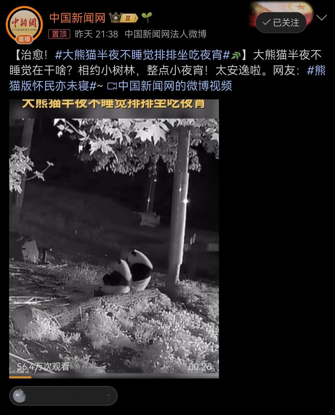 大熊猫半夜不睡觉排排坐吃夜宵确定不是工作人员扮的吗🙌🙌