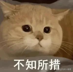 亨通光电技术分析！亨通光电今日最高冲至79.49元，截止到13.46分的数据