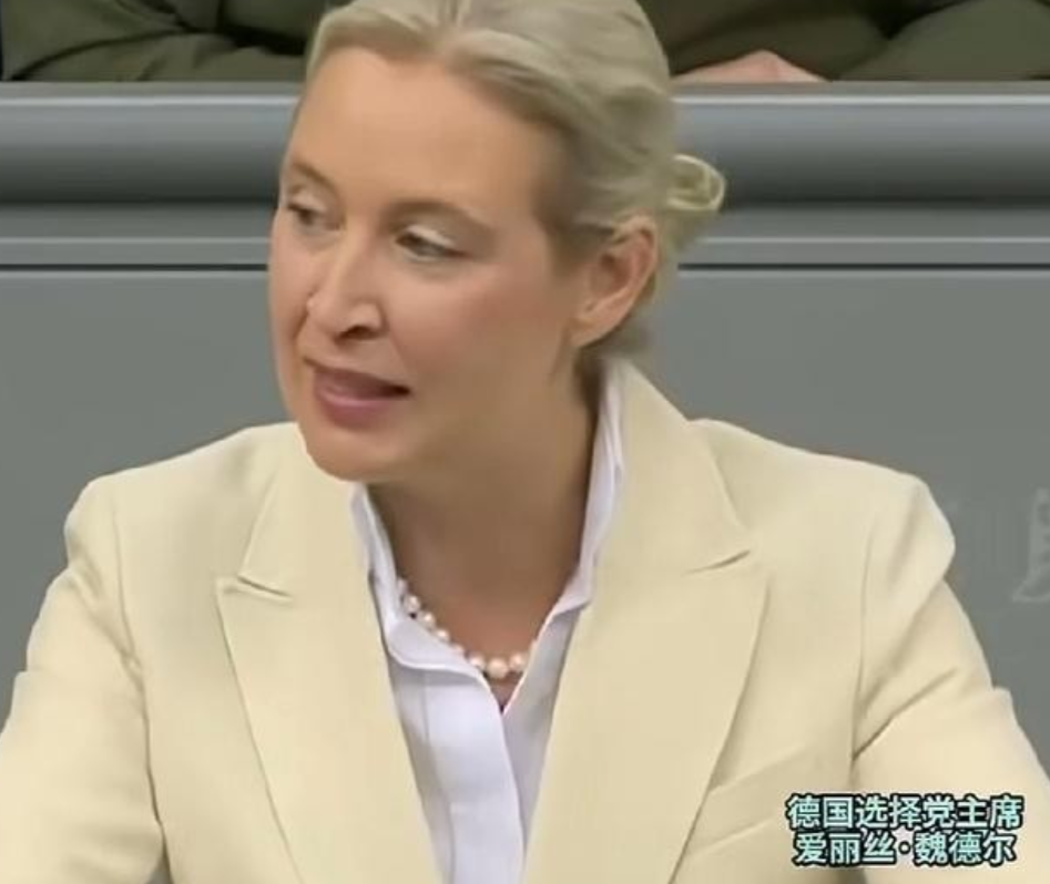 魏德尔在德国议会公开斥责德国总理默茨，“你是个演员，对德国民众说没有钱，转头却要