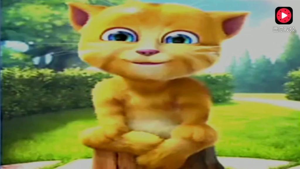 1747610997148500186.jpg?id=0