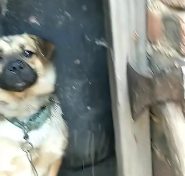 据说，央视军事频道的这条视频，让日本人破了大防。嗯，就是要明确地告诉脚盆鸡，打的