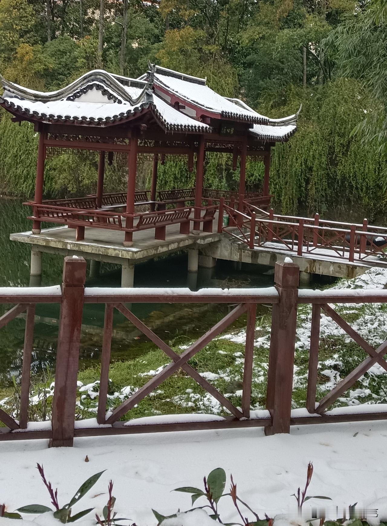 安徽下霰了！冬天掉的不只是雪，4种固态降水一次分清宝子们快看！安徽下霰刷屏