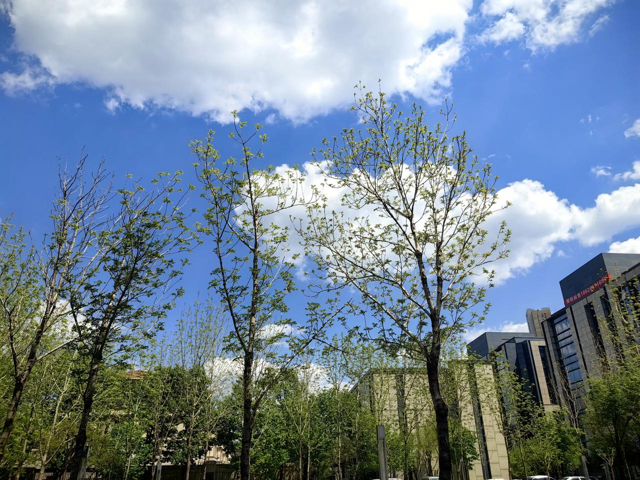 奥斯塔彭科晋级32强将战郑钦文郑钦文只要做好发球和接发球，在相持中保持耐心，一定