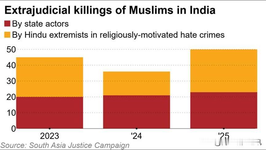 《日经亚洲》1月22日报道， 2025年印度境内针对穆斯林群体的法外处决、大规模